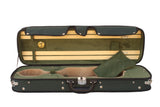 green violin case with hygrometer